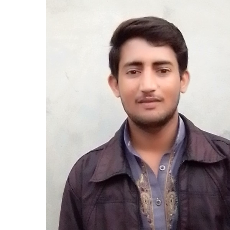 Ameer Hamza-Freelancer in Jahanian,Pakistan