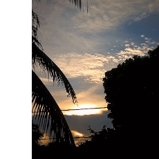 Rifat Hosen-Freelancer in Jhenaidah,Bangladesh