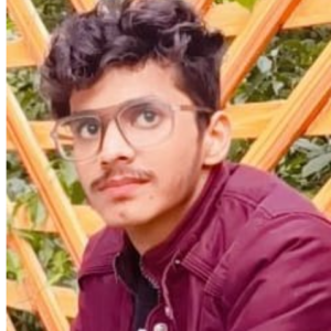 Pankaj Rajput-Freelancer in New Delhi,India