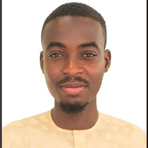 ABUBAKAR RILWANU-Freelancer in MINNA,Nigeria