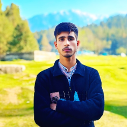 Shahid-Freelancer in Srinagar,India