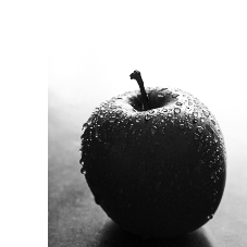 Reshma Shkiah-Freelancer in Kolkata,India