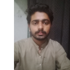 Muhammad Amir-Freelancer in Pakpattan,Pakistan