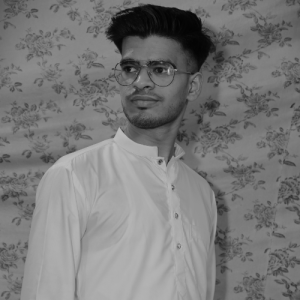 Mohammad Zaid -Freelancer in New Delhi,India