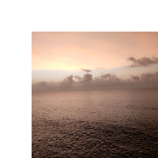 Tim Williams-Freelancer in Waltham Forest,United Kingdom