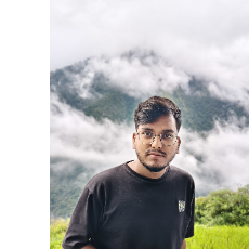 Raju Kumar-Freelancer in Kolkata,India