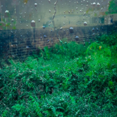 Md Rakib-Freelancer in Chittagong,Bangladesh