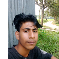 Md Ridoy-Freelancer in Dhaka,Bangladesh