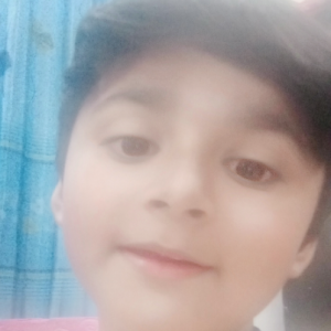 Naveed Shah-Freelancer in Karachi,Pakistan