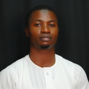 Habeeb O Najeeb-Freelancer in Abuja, Nigeria,Nigeria