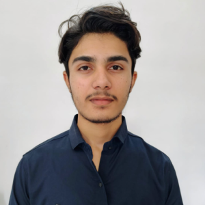 Himanshu Meena-Freelancer in Jaipur,India