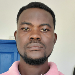 Kumi Agyei Stephen-Freelancer in Accra,Ghana