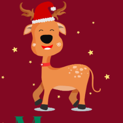 Rukhsar Zahid-Freelancer in Heydrabead,Pakistan