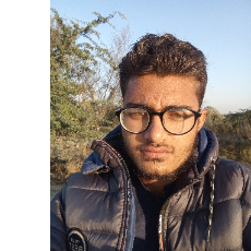 Muhammad Hasnain Sanmal-Freelancer in Mankera,Pakistan