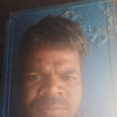 Bheemsen Paliha-Freelancer in Shahdol,India