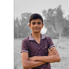 Hussain Mahi-Freelancer in Srrimongol,Bangladesh