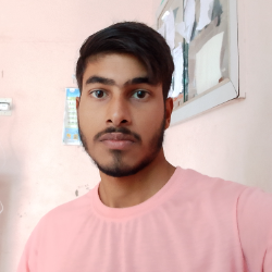 Himanshu Goyal-Freelancer in Rampura phul,India