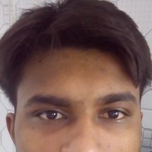 Chintan Patel-Freelancer in ,India