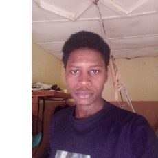 Muhammad Sani Dauda-Freelancer in Abuja,Nigeria