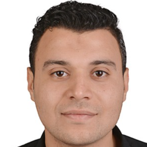 Adel Ali-Freelancer in Talkha,Egypt