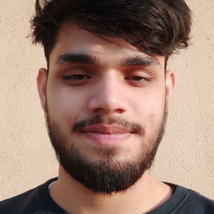 Ankit Chauhan-Freelancer in Bhiwadi,India