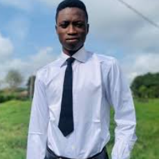 Samuel Shodunke-Freelancer in Ibadan,Nigeria