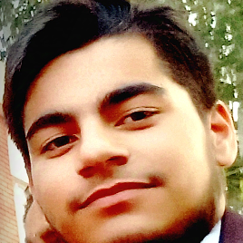 Tamish Kumar-Freelancer in Pathankot,India