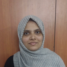 Henna Thonikkara-Freelancer in Malappuram, Perinthalmanna,India