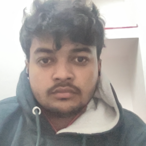 Anubhav Rathore-Freelancer in Lucknow,India