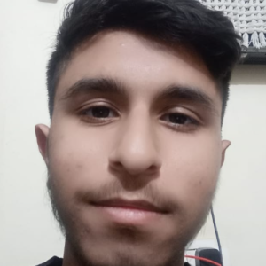 Samarth Kumar-Freelancer in Hisar,India