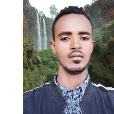 Abduletif Geleto-Freelancer in Addis Ababa,Ethiopia