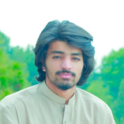 Sardar Uzaifa-Freelancer in Abbottabad,Pakistan