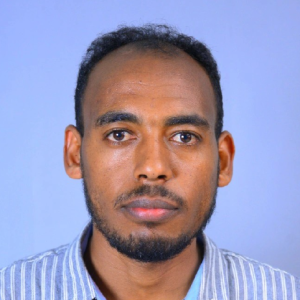 Wasihun T. Lemma-Freelancer in Kristiansand,Norway