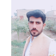 Shahzad Gabool-Freelancer in Alipur,Pakistan