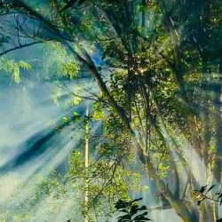 Arju Roy-Freelancer in Dhaka,Bangladesh