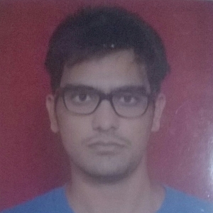 Rahul Kshatriye-Freelancer in New Delhi,India