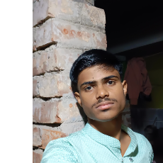 Swapnadip-Freelancer in Kolkata,India