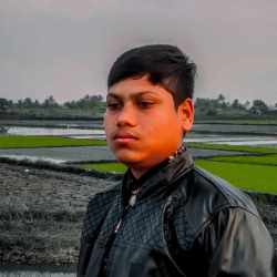 Bm Yasir Arafat Arafat-Freelancer in Ārāihāzār,Bangladesh