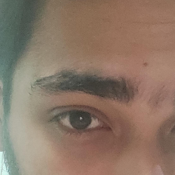 Ayush Gaur-Freelancer in New Delhi,India