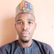 Usman Ibrahim-Freelancer in Jigawa,Nigeria