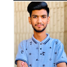 Ali Raza-Freelancer in ,Pakistan