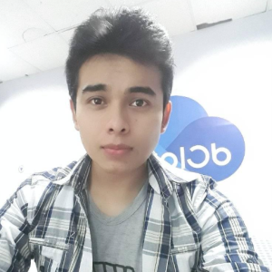 Navil Michel Carvajal Condori-Freelancer in Santa Cruz,Bolivia