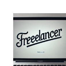 Man S-Freelancer in Kota,India