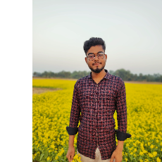 Md Zihad-Freelancer in Rajshahi,Bangladesh
