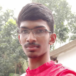 Sujoy Mondal-Freelancer in kolkata,India