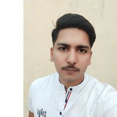 Harsh Kumar-Freelancer in Rabupura, Jewar, Greater Noida, Gautam Buddha Naga,India