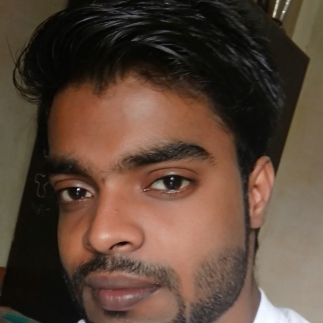 Roushan Kumar-Freelancer in Patna,India