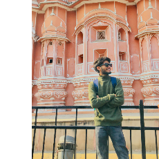 Anuj Singh-Freelancer in Pali Rajasthan,India