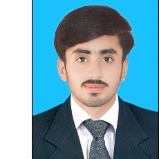 Muhammad Ali Raza Shah-Freelancer in Lahore,Pakistan