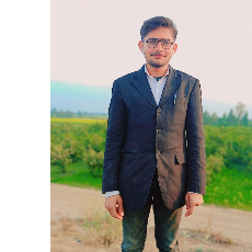 Hussain Ahmad-Freelancer in Jhang,Pakistan
